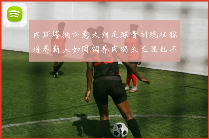 内斯塔批评意大利足球青训现状称培养新人如同饲养肉鸡米兰混乱不堪