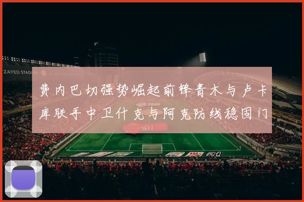 费内巴切强势崛起前锋青木与卢卡库联手中卫什克与阿克防线稳固门将埃德松实力不容小觑