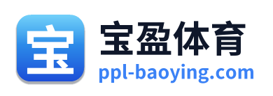 宝盈体育 Logo